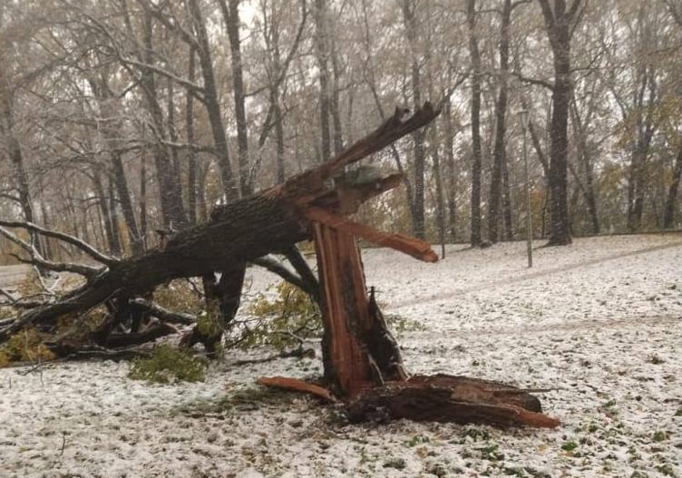 Появились фотографии последствий непогоды в Нижнем Новгороде 17 октября - фото 2