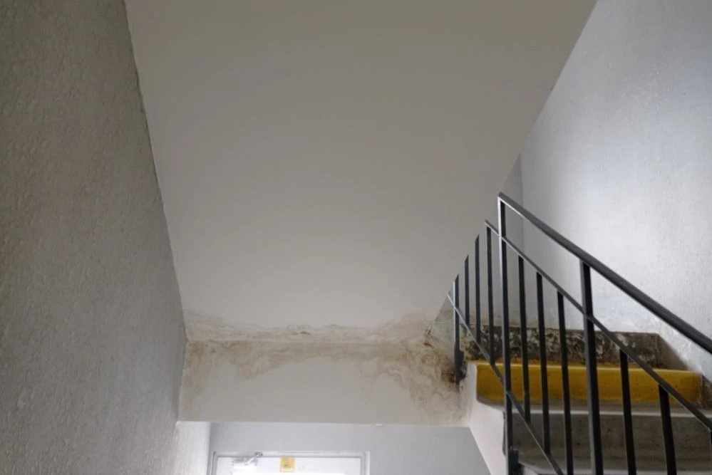 Жители многоэтажки в Ростове пожаловались на темноту, мусор и текущие лифты - фото 1