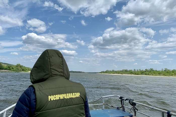 С «Ростовводоканала» хотят взыскать более 117 млн рублей за загрязнение реки Дон - фото 1