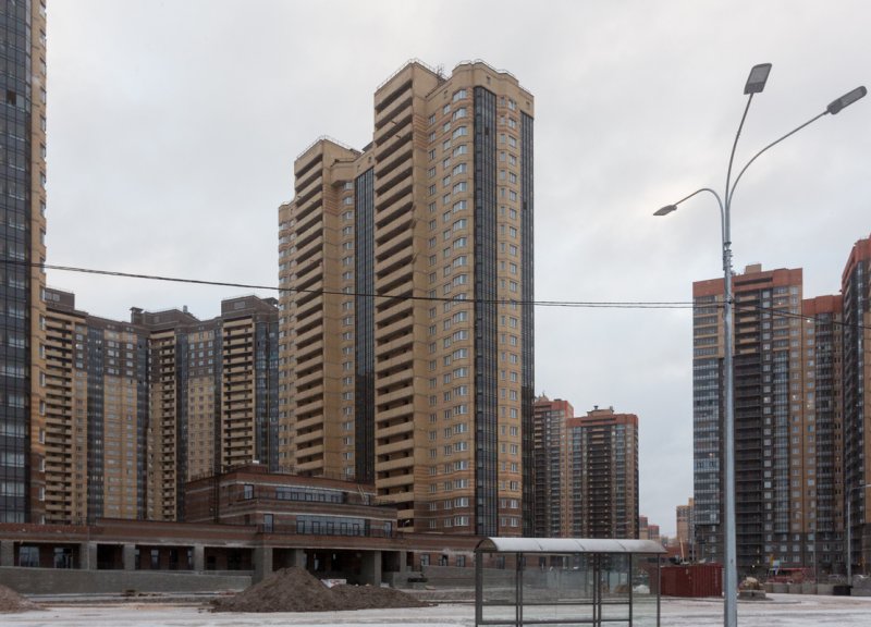 Дом 11 в ЖК Северная долина - фото 1