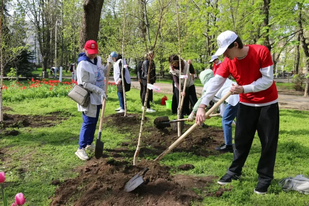 В Ростове высадили более 7 тысяч деревьев в День древонасаждений - фото 1
