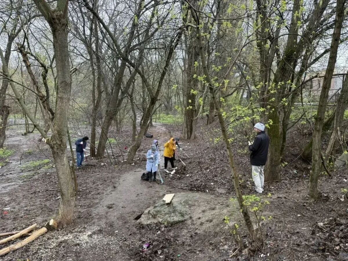 Во время субботника в Ростове-на-Дону вывезли 130 тонн мусора - фото 1