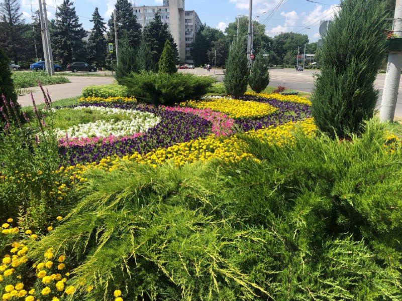 Глава администрации Ростова рассказал, сколько цветов высадят в городе в 2022 году - фото 1