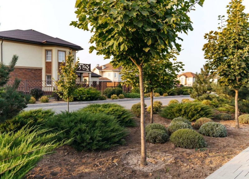 КП Ясная Поляна - фото 14