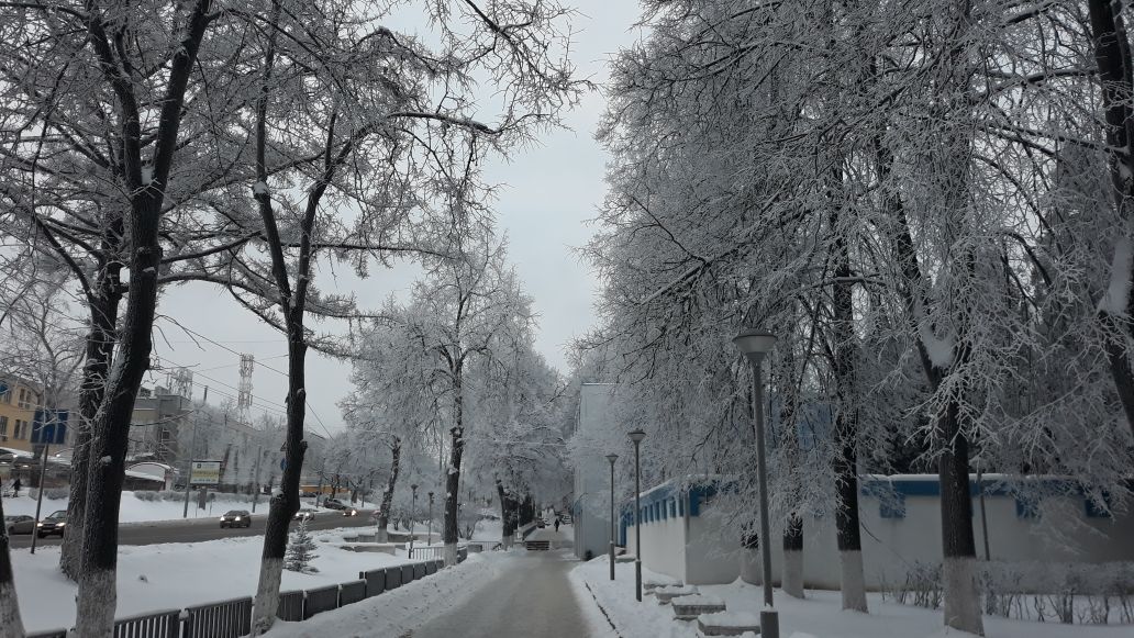 Цифровая система контроля за вывозом снега начнет работать в Нижнем Новгороде