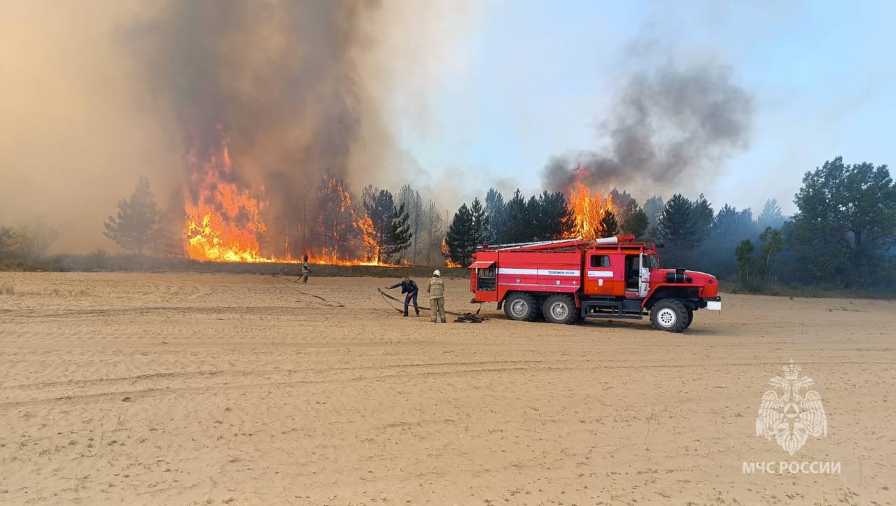 В Каменском районе Ростовской области полностью ликвидировали пожар - фото 1