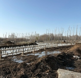 Ход строительства дома 9 (ГП-4) в ЖК Зеленые аллеи -