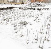 Ход строительства дома 1 в ЖК Стрижи -