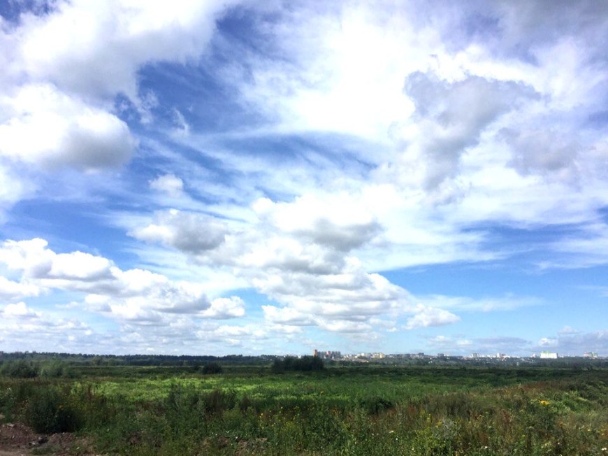 Природный парк могут создать в Артемовских лугах - фото 1