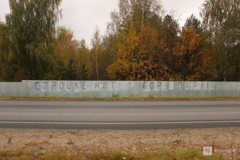 Нижегородка пожаловалась Путину на строительство школы у озера на Бору - фото 1