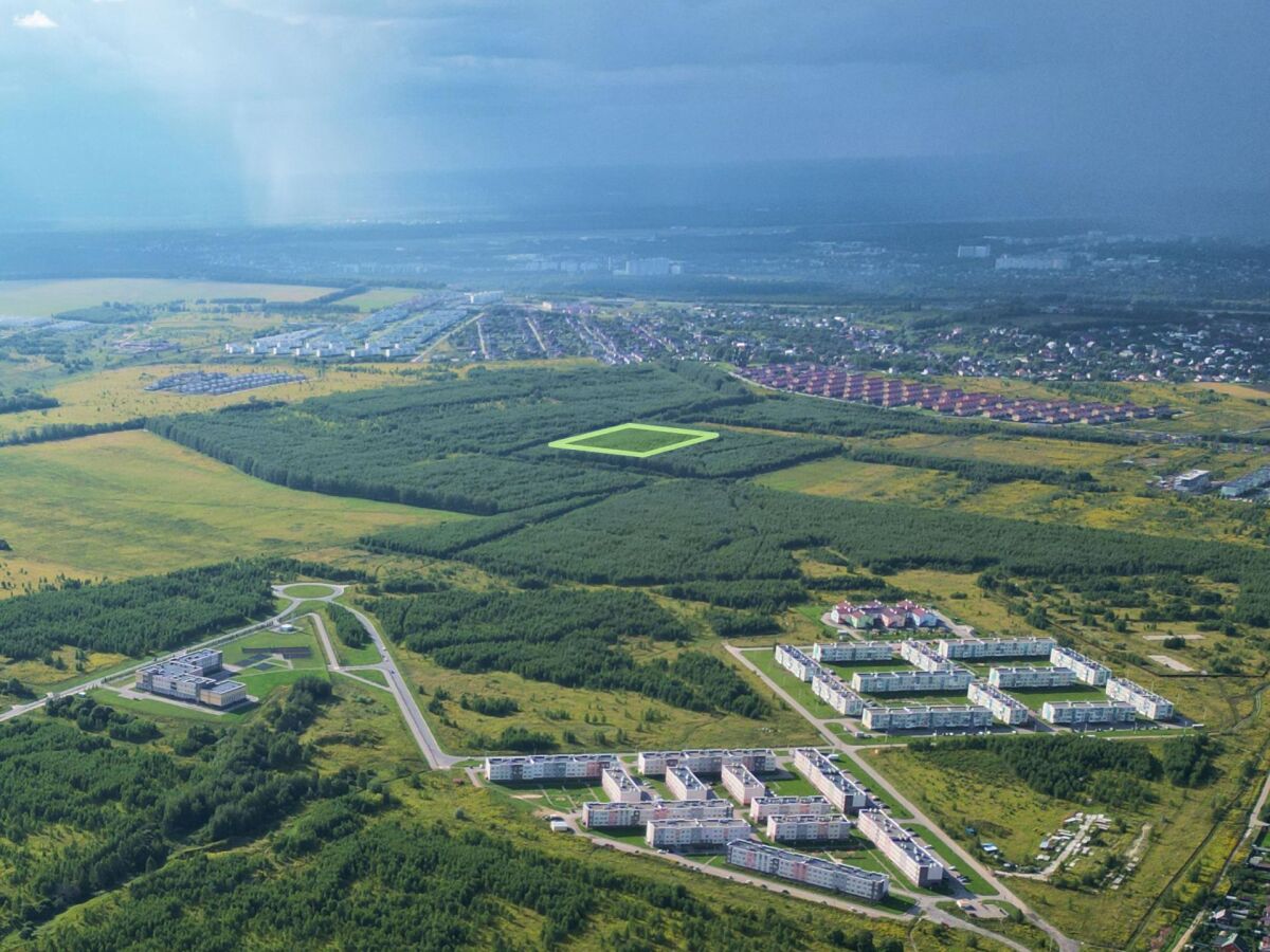 Более 3,6 га земли под коммерческую застройку продают у Новинок за 36 млн рублей - фото 1